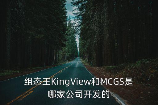 組態(tài)王KingView和MCGS是哪家公司開(kāi)發(fā)的