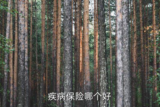 疾病保險(xiǎn)哪個(gè)好