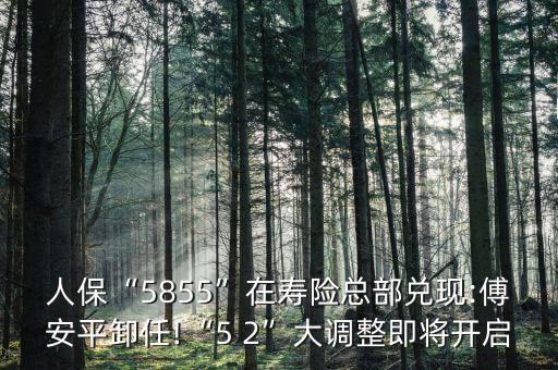 人?！?855”在壽險(xiǎn)總部兌現(xiàn):傅安平卸任!“5 2”大調(diào)整即將開啟