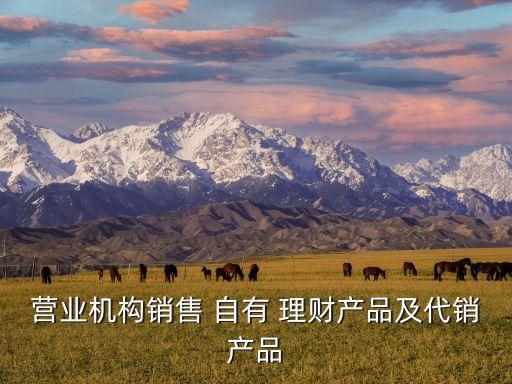 營業(yè)機構(gòu)銷售 自有 理財產(chǎn)品及代銷產(chǎn)品