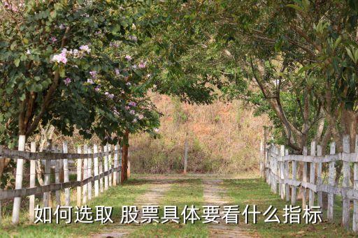如何選取 股票具體要看什么指標