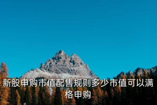 新股申購(gòu)市值配售規(guī)則多少市值可以滿(mǎn)格申購(gòu)