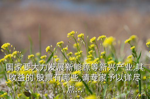 國家要大力發(fā)展新能源等新興產(chǎn)業(yè),其收益的 股票有哪些,請專家予以詳盡點(diǎn)...