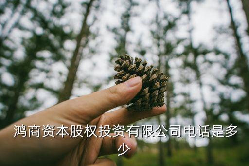  鴻商資本股權投資有限公司電話是多少
