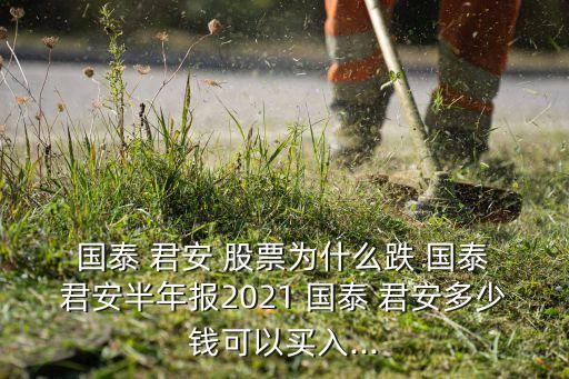  國(guó)泰 君安 股票為什么跌 國(guó)泰 君安半年報(bào)2021 國(guó)泰 君安多少錢可以買入...