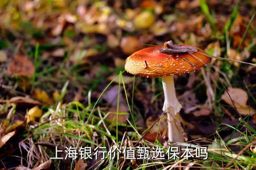  上海銀行價值甄選保本嗎