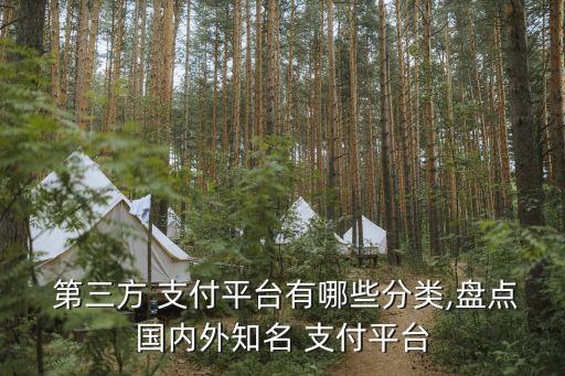  第三方 支付平臺(tái)有哪些分類,盤點(diǎn)國內(nèi)外知名 支付平臺(tái)