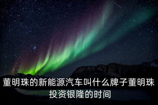 董明珠的新能源汽車(chē)叫什么牌子董明珠 投資銀隆的時(shí)間