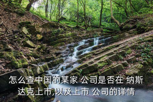 納斯達克中國公司,在納斯達克上市的中國公司