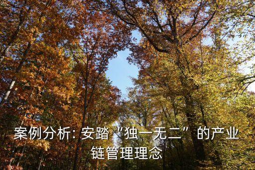 案例分析: 安踏“獨一無二”的產業(yè)鏈管理理念