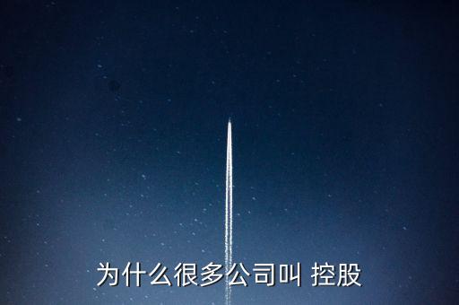 為什么很多公司叫 控股