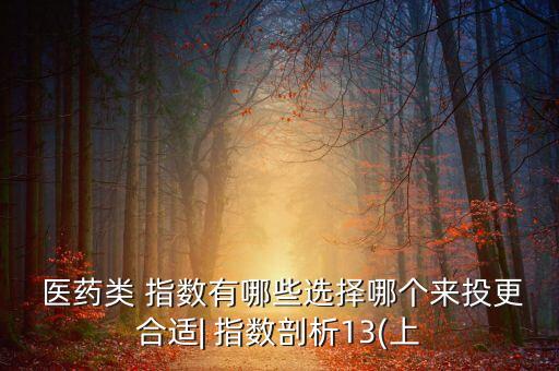  醫(yī)藥類(lèi) 指數(shù)有哪些選擇哪個(gè)來(lái)投更合適| 指數(shù)剖析13(上