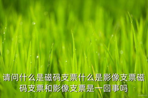 什么是銀行再造,我國(guó)銀行再造的案例