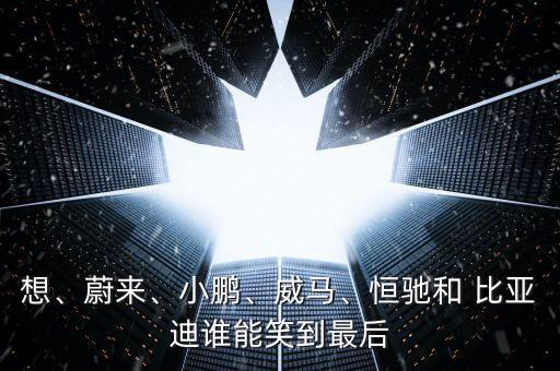 想、蔚來、小鵬、威馬、恒馳和 比亞迪誰能笑到最后