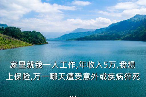 家里就我一人工作,年收入5萬,我想上保險(xiǎn),萬一哪天遭受意外或疾病猝死...