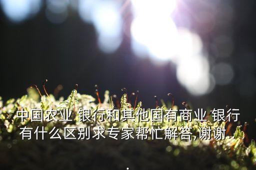 中國農業(yè) 銀行和其他國有商業(yè) 銀行有什么區(qū)別求專家?guī)兔獯?謝謝...