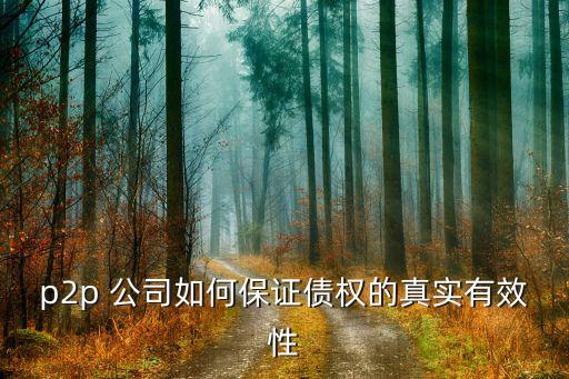 p2p 公司如何保證債權(quán)的真實(shí)有效性