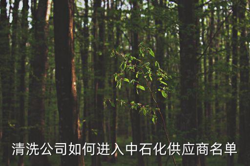 清洗公司如何進(jìn)入中石化供應(yīng)商名單