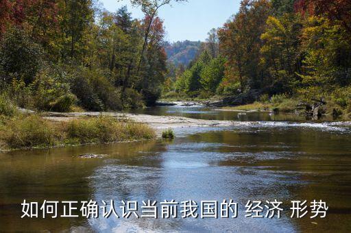 對當前中國經(jīng)濟形勢的看法,簡述當前中國經(jīng)濟形勢