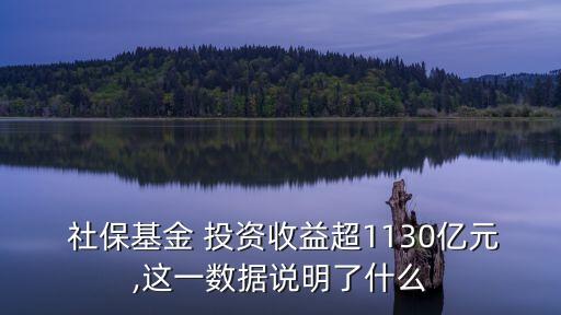  社?；?投資收益超1130億元,這一數(shù)據(jù)說(shuō)明了什么