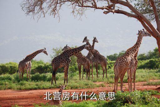北營(yíng)房有什么意思