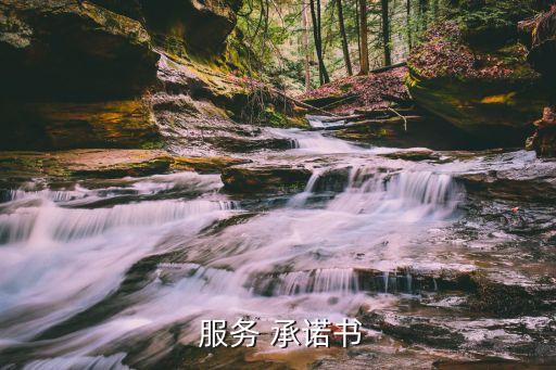  服務 承諾書