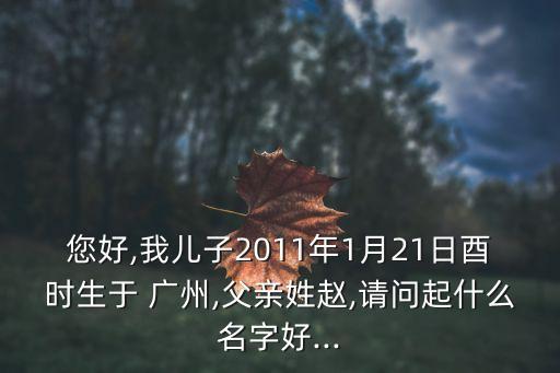 您好,我兒子2011年1月21日酉時(shí)生于 廣州,父親姓趙,請(qǐng)問(wèn)起什么名字好...
