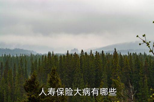  人壽保險大病有哪些