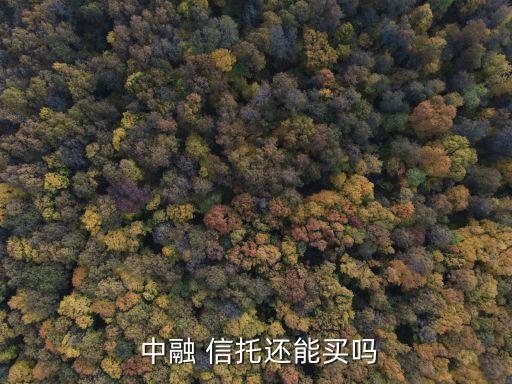  中融 信托還能買(mǎi)嗎