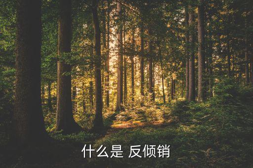 什么是 反傾銷(xiāo)