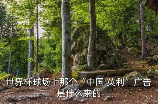 世界杯球場上那個(gè)“中國 英利”廣告是什么來的