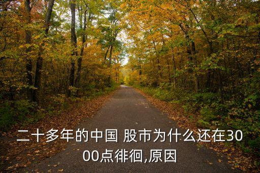 二十多年的中國 股市為什么還在3000點(diǎn)徘徊,原因