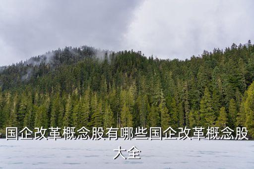中成集團國投定位,國投中成集團新任總經(jīng)理
