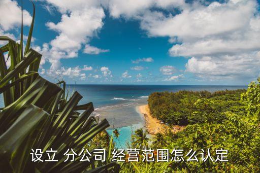 設(shè)立 分公司 經(jīng)營范圍怎么認(rèn)定