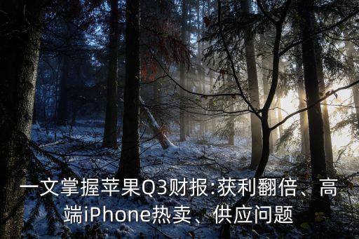 一文掌握蘋果Q3財報:獲利翻倍、高端iPhone熱賣、供應問題