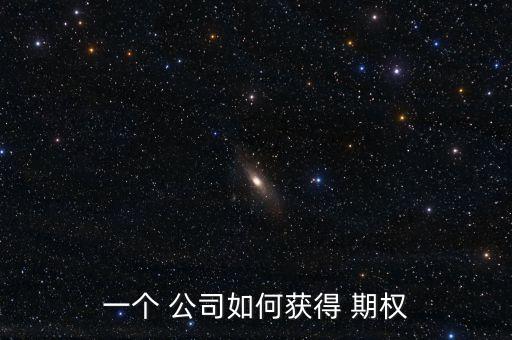一個(gè) 公司如何獲得 期權(quán)