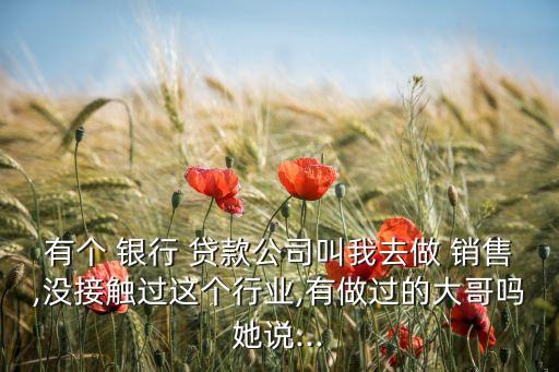 有個(gè) 銀行 貸款公司叫我去做 銷售,沒(méi)接觸過(guò)這個(gè)行業(yè),有做過(guò)的大哥嗎她說(shuō)...