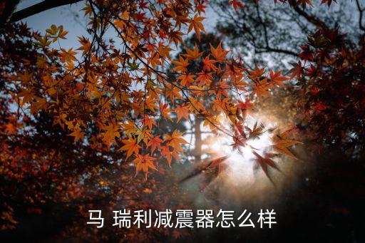 萬向集團收購馬瑞利,東風(fēng)收購馬瑞利是真的嗎