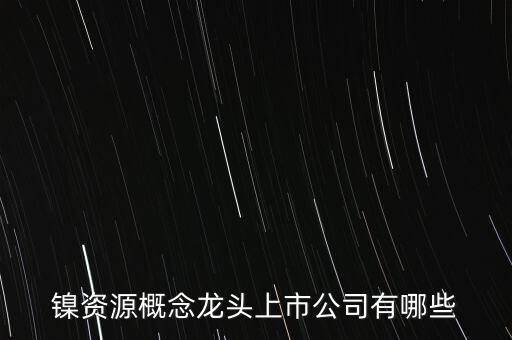 鎳資源概念龍頭上市公司有哪些