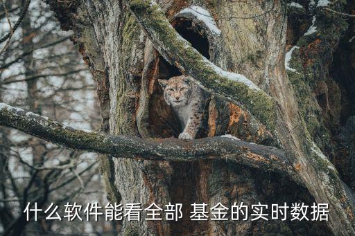 什么軟件能看全部 基金的實(shí)時(shí)數(shù)據(jù)