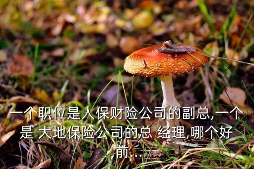 中國大地保險(xiǎn)赤峰經(jīng)理,大地保險(xiǎn)赤峰分公司電話