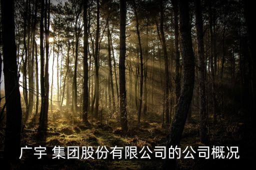  廣宇 集團股份有限公司的公司概況
