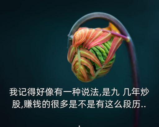 我記得好像有一種說(shuō)法,是九 幾年炒股,賺錢(qián)的很多是不是有這么段歷...