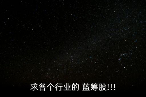 求各個行業(yè)的 藍籌股!!!