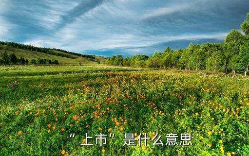 公司上市是什么意思,新手第一次怎么買(mǎi)股票