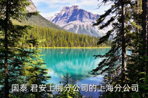  國(guó)泰 君安上海分公司的上海分公司