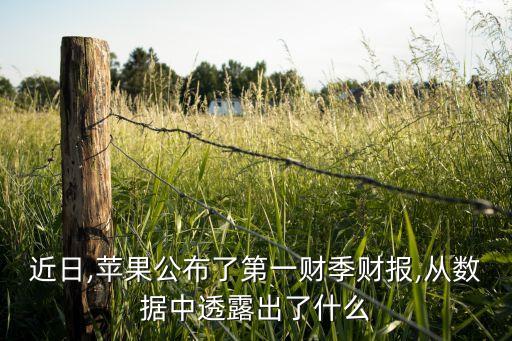 蘋(píng)果公司13年財(cái)務(wù)報(bào)表,蘋(píng)果2022年財(cái)務(wù)報(bào)表分析