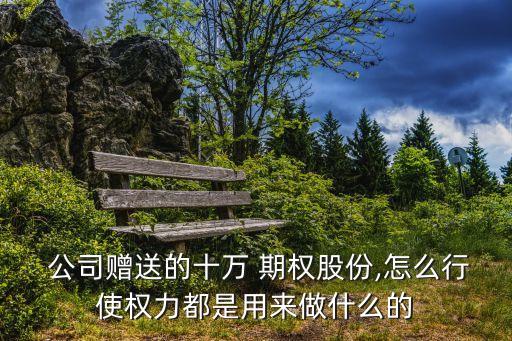  公司贈(zèng)送的十萬(wàn) 期權(quán)股份,怎么行使權(quán)力都是用來(lái)做什么的