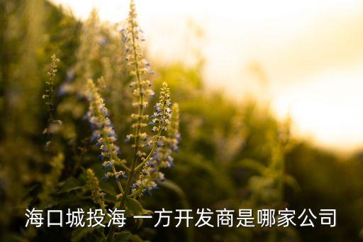 ?？诔峭逗?一方開發(fā)商是哪家公司