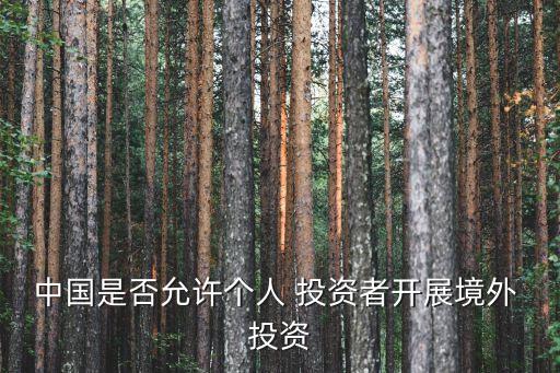 中國對外投資項(xiàng)目,對外投資項(xiàng)目的可行性研究